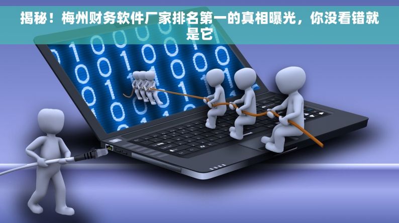 揭秘！梅州財務軟件廠家排名第一的真相，你沒看錯就是它